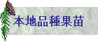 本地品種果苗