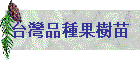 台灣品種果樹苗